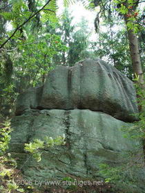 Hutstein