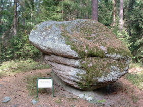 Fiedelstein