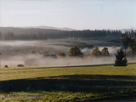 Nebel in der Hinterbrhl (Karlstift)