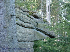 Echsenkopf unter Wackelstein