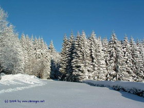 Winter in Karlstift