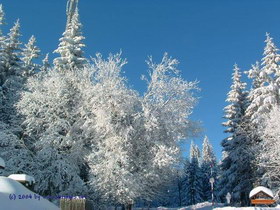 Winter in Karlstift - bei Gmnderhtte