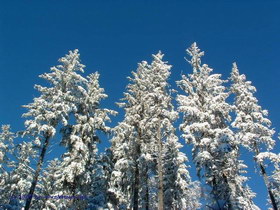 Winter in Karlstift