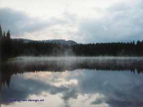 Stierhblteich mit Nebel