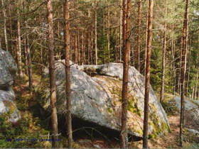Schalenstein am Stierberg
