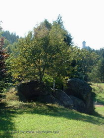 Einsiedlerstein mit Burg m Hintergrund